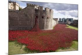 Uk, England, London. Blood Swept Lands and Seas of Red-Katie Garrod-Mounted Premium Photographic Print