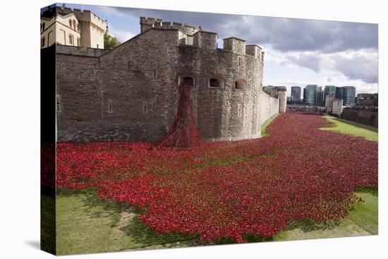 Uk, England, London. Blood Swept Lands and Seas of Red-Katie Garrod-Stretched Canvas