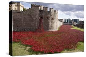 Uk, England, London. Blood Swept Lands and Seas of Red-Katie Garrod-Stretched Canvas