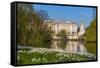 UK, England, London, Buckingham Palace from St James's Park-Alan Copson-Framed Stretched Canvas