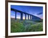 UK, England, North Yorkshire, Ribblehead Viaduct on the Settle to Carlisle Railway Line-Alan Copson-Framed Photographic Print