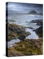 UK, England, Northumberland, Bamburgh Castle-Alan Copson-Stretched Canvas