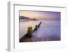 UK, England, Suffolk, Southwold, Southwold Pier at dawn-Alan Copson-Framed Photographic Print