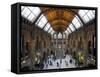 UK, Enlgland, London, South Kensington, Natural History Museum, the Central Hall-Alan Copson-Framed Stretched Canvas