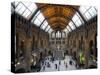 UK, Enlgland, London, South Kensington, Natural History Museum, the Central Hall-Alan Copson-Stretched Canvas