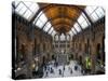 UK, Enlgland, London, South Kensington, Natural History Museum, the Central Hall-Alan Copson-Stretched Canvas