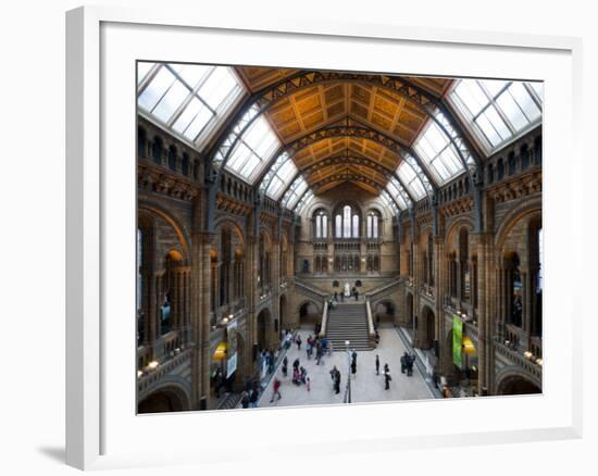 UK, Enlgland, London, South Kensington, Natural History Museum, the Central Hall-Alan Copson-Framed Photographic Print