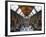 UK, Enlgland, London, South Kensington, Natural History Museum, the Central Hall-Alan Copson-Framed Photographic Print