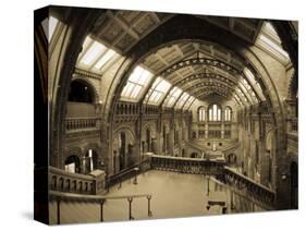 UK, Enlgland, London, South Kensington, Natural History Museum, the Central Hall-Alan Copson-Stretched Canvas