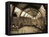 UK, Enlgland, London, South Kensington, Natural History Museum, the Central Hall-Alan Copson-Framed Stretched Canvas