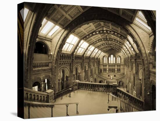 UK, Enlgland, London, South Kensington, Natural History Museum, the Central Hall-Alan Copson-Stretched Canvas