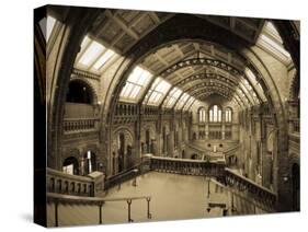 UK, Enlgland, London, South Kensington, Natural History Museum, the Central Hall-Alan Copson-Stretched Canvas