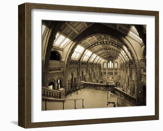 UK, Enlgland, London, South Kensington, Natural History Museum, the Central Hall-Alan Copson-Framed Photographic Print