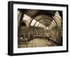 UK, Enlgland, London, South Kensington, Natural History Museum, the Central Hall-Alan Copson-Framed Photographic Print