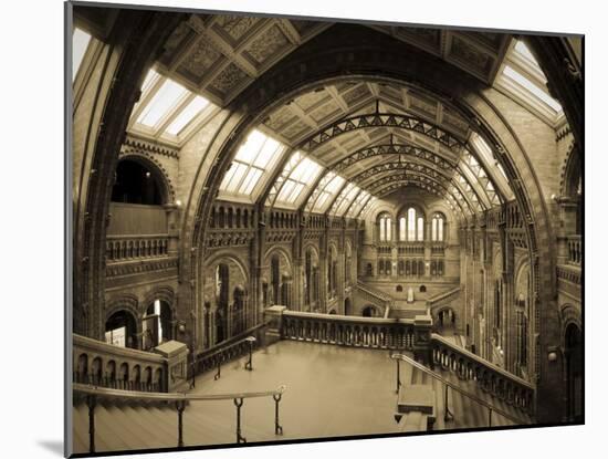 UK, Enlgland, London, South Kensington, Natural History Museum, the Central Hall-Alan Copson-Mounted Photographic Print