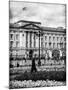 UK Landscape - Buckingham Palace - London - UK - England - United Kingdom - Europe-Philippe Hugonnard-Mounted Photographic Print