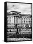 UK Landscape - Buckingham Palace - London - UK - England - United Kingdom - Europe-Philippe Hugonnard-Framed Stretched Canvas