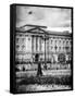 UK Landscape - Buckingham Palace - London - UK - England - United Kingdom - Europe-Philippe Hugonnard-Framed Stretched Canvas