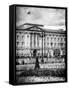 UK Landscape - Buckingham Palace - London - UK - England - United Kingdom - Europe-Philippe Hugonnard-Framed Stretched Canvas