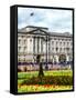 UK Landscape - Buckingham Palace - London - UK - England - United Kingdom - Europe-Philippe Hugonnard-Framed Stretched Canvas