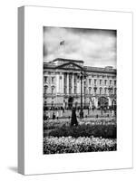 UK Landscape - Buckingham Palace - London - UK - England - United Kingdom - Europe-Philippe Hugonnard-Stretched Canvas