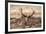 UK, London, Richmond Park. The King's Deer (Red Deer) are native to the UK.-Richard Wright-Framed Photographic Print