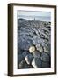 UK, Northern Ireland, County Antrim, Giant's Causeway, Basaltic Prisms-null-Framed Giclee Print