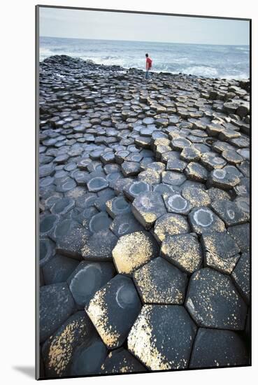 UK, Northern Ireland, County Antrim, Giant's Causeway, Basaltic Prisms-null-Mounted Giclee Print