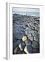 UK, Northern Ireland, County Antrim, Giant's Causeway, Basaltic Prisms-null-Framed Giclee Print