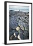 UK, Northern Ireland, County Antrim, Giant's Causeway, Basaltic Prisms-null-Framed Giclee Print