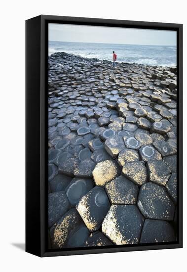 UK, Northern Ireland, County Antrim, Giant's Causeway, Basaltic Prisms-null-Framed Stretched Canvas