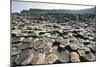 UK, Northern Ireland, County Antrim, Giant's Causeway, Basaltic Prisms-null-Mounted Giclee Print
