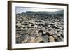 UK, Northern Ireland, County Antrim, Giant's Causeway, Basaltic Prisms-null-Framed Giclee Print