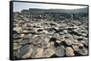 UK, Northern Ireland, County Antrim, Giant's Causeway, Basaltic Prisms-null-Framed Stretched Canvas