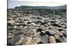 UK, Northern Ireland, County Antrim, Giant's Causeway, Basaltic Prisms-null-Stretched Canvas