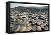 UK, Northern Ireland, County Antrim, Giant's Causeway, Basaltic Prisms-null-Framed Stretched Canvas