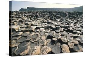 UK, Northern Ireland, County Antrim, Giant's Causeway, Basaltic Prisms-null-Stretched Canvas