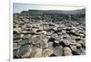 UK, Northern Ireland, County Antrim, Giant's Causeway, Basaltic Prisms-null-Framed Giclee Print