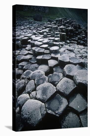 UK, Northern Ireland, County Antrim, Giant's Causeway, Prismatic Basalt Columns-null-Stretched Canvas