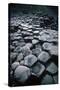 UK, Northern Ireland, County Antrim, Giant's Causeway, Prismatic Basalt Columns-null-Stretched Canvas