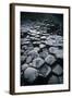 UK, Northern Ireland, County Antrim, Giant's Causeway, Prismatic Basalt Columns-null-Framed Giclee Print