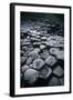 UK, Northern Ireland, County Antrim, Giant's Causeway, Prismatic Basalt Columns-null-Framed Giclee Print