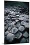 UK, Northern Ireland, County Antrim, Giant's Causeway, Prismatic Basalt Columns-null-Mounted Giclee Print