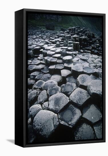 UK, Northern Ireland, County Antrim, Giant's Causeway, Prismatic Basalt Columns-null-Framed Stretched Canvas