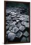 UK, Northern Ireland, County Antrim, Giant's Causeway, Prismatic Basalt Columns-null-Framed Giclee Print