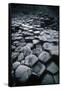 UK, Northern Ireland, County Antrim, Giant's Causeway, Prismatic Basalt Columns-null-Framed Stretched Canvas