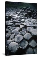 UK, Northern Ireland, County Antrim, Giant's Causeway, Prismatic Basalt Columns-null-Stretched Canvas