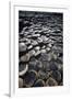 UK, Northern Ireland, County Antrim, Giant's Causeway, Prismatic Basalt Columns-null-Framed Giclee Print