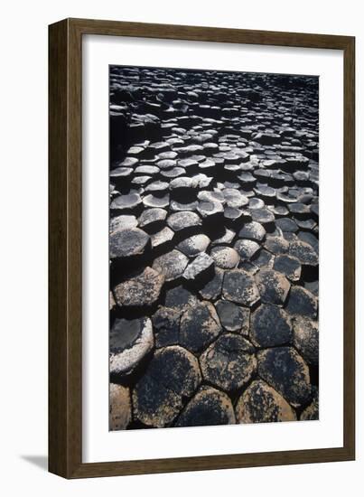 UK, Northern Ireland, County Antrim, Giant's Causeway, Prismatic Basalt Columns-null-Framed Giclee Print