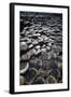 UK, Northern Ireland, County Antrim, Giant's Causeway, Prismatic Basalt Columns-null-Framed Giclee Print